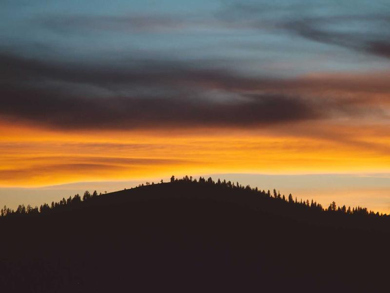 废土拾荒者<br>qyh4jna.cn 垃圾佬的荣耀